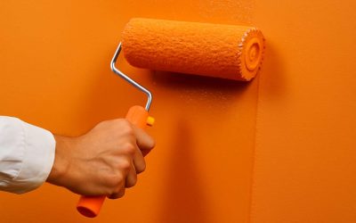 Discover the Best Deals on Wall Paint 1kg Price for a Fresh, Vibrant Home Makeover